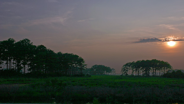 阿薩提格國家海岸 (Assateague Island National Seashore)Chincoteague