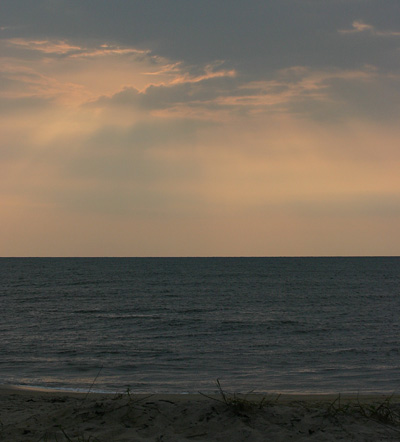 阿薩提格國家海岸 (Assateague Island National Seashore)Chincoteague