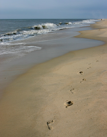 阿薩提格國家海岸 (Assateague Island National Seashore)Chincoteague