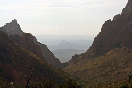 大彎國家公園 (Big Bend National Park)盆地步道