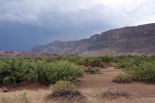 大彎國家公園 (Big Bend National Park)Santa Elena峽谷