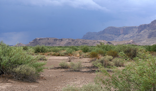 大彎國家公園 (Big Bend National Park)Santa Elena峽谷