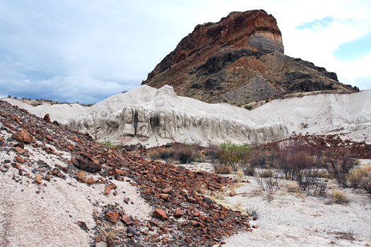 大彎國家公園 (Big Bend National Park)Cerro Castellan