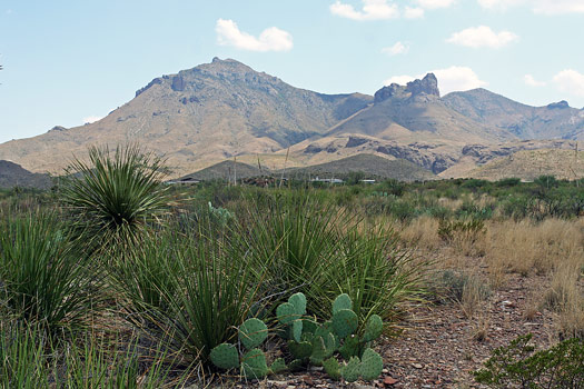 大彎國家公園 (Big Bend National Park)Panther交叉路口往東