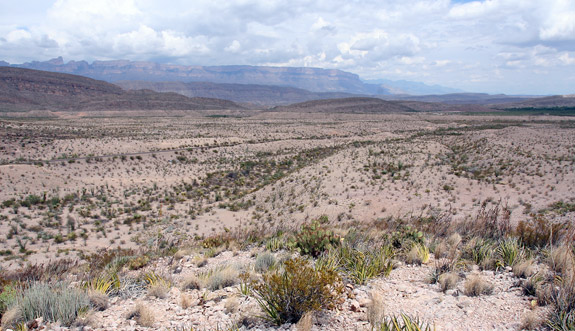 大彎國家公園 (Big Bend National Park)Rio Grande Overlook