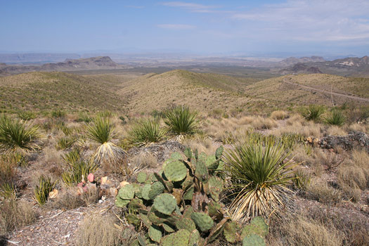 大彎國家公園 (Big Bend National Park)Sotol Vista OVerlook