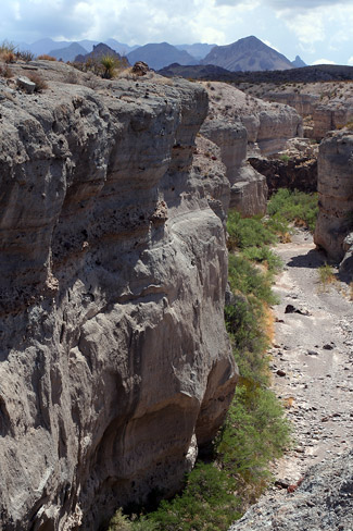 大彎國家公園 (Big Bend National Park)Tuff峽谷