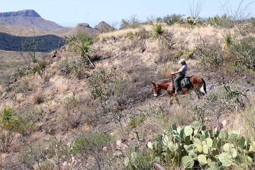 大彎國家公園 (Big Bend National Park)Homer Wilson Ranch