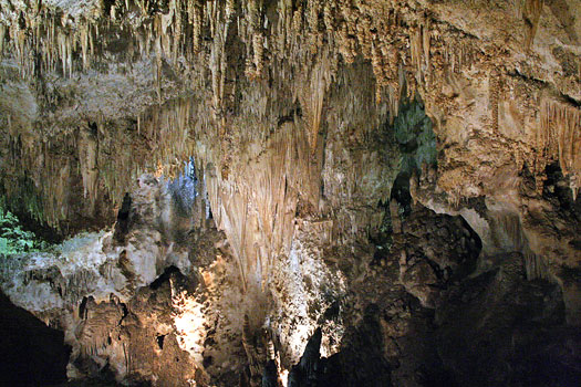 卡爾斯貝洞窟國家公園 (Carlsbad Caverns National Park) 天然入口