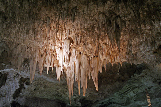 卡爾斯貝洞窟國家公園 (Carlsbad Caverns National Park) 大房間