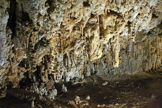 卡爾斯貝洞窟國家公園 (Carlsbad Caverns National Park) 皇宮