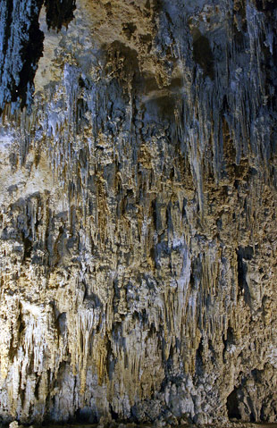 卡爾斯貝洞窟國家公園 (Carlsbad Caverns National Park) 皇宮