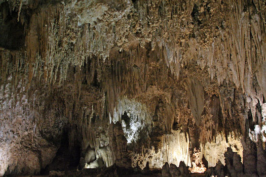 卡爾斯貝洞窟國家公園 (Carlsbad Caverns National Park) 皇宮