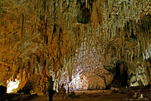 卡爾斯貝洞窟國家公園 (Carlsbad Caverns National Park) 皇宮