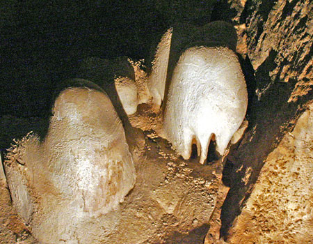 卡爾斯貝洞窟國家公園 (Carlsbad Caverns National Park) 皇宮