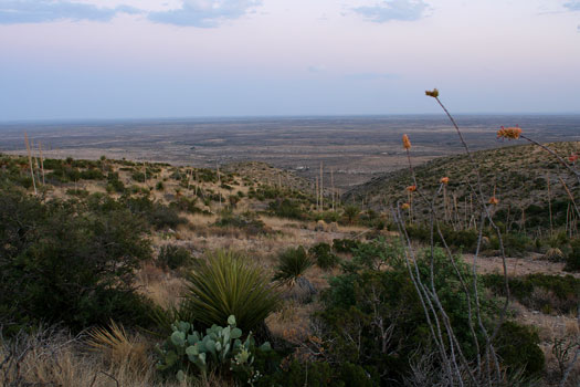 卡爾斯貝洞窟國家公園 (Carlsbad Caverns National Park)