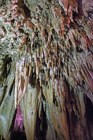 卡爾斯貝洞窟國家公園 (Carlsbad Caverns National Park) 皇宮