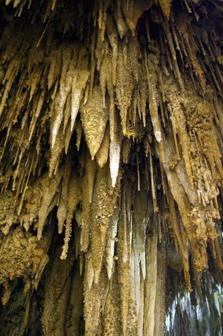 卡爾斯貝洞窟國家公園 (Carlsbad Caverns National Park) 皇宮