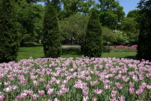 巴爾的摩 (Baltimore) 雪霧花園 (Sherwood Gardens)