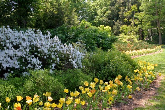 巴爾的摩 (Baltimore) 雪霧花園 (Sherwood Gardens)