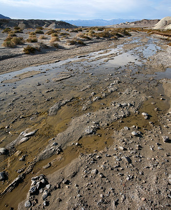 死谷國家公園 (Death Valley National Park) 
Salt Creek