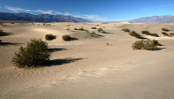 死谷國家公園 (Death Valley National Park) 
Sand Dunes