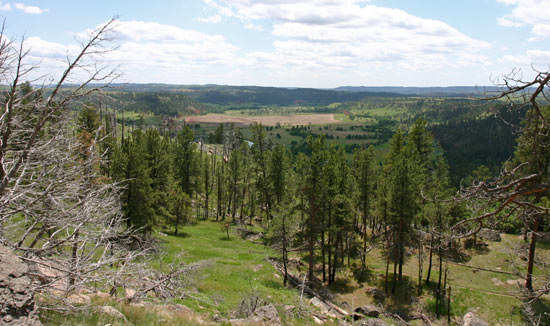 魔鬼塔國家保護區 (Devils Tower National Monument)