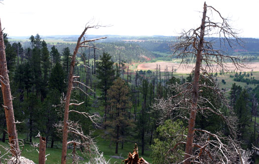 魔鬼塔國家保護區 (Devils Tower National Monument)