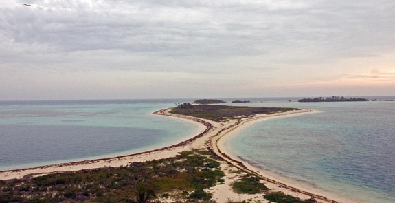 海龜國家公園 (Dry Tortugas National Park)
 Bush Key