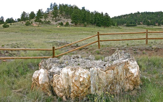 佛羅瑞珊化石帶國家保護區 (Florissant Fossil Beds National Monument)