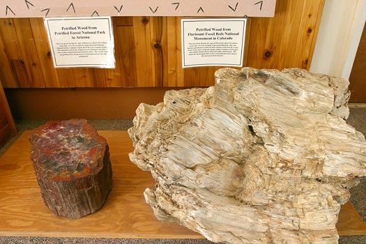 佛羅瑞珊化石帶國家保護區 (Florissant Fossil Beds National Monument)