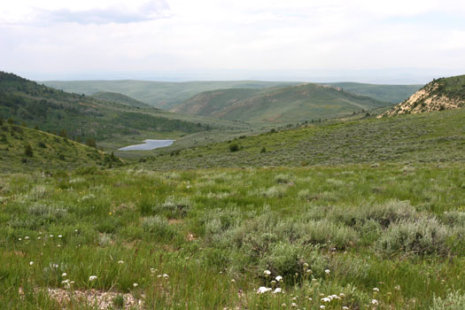 化石丘國家保護區 (Fossil Butte National Monument)