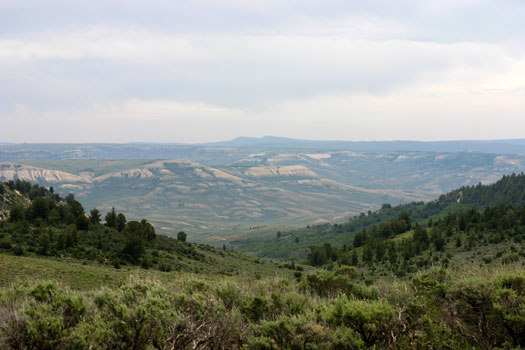 化石丘國家保護區 (Fossil Butte National Monument)