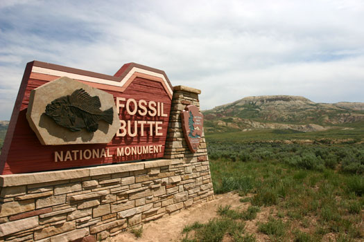 化石丘國家保護區 (Fossil Butte National Monument)