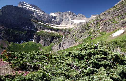 冰河國家公園 (Glacier National Park) 
Beargrass, Grinnell Glacier Trail