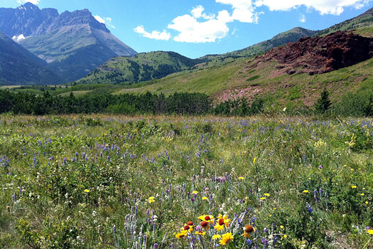 Waterton, Road to Red Rock Canyon