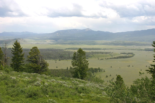 大提頓國家公園 (Grand Teton National Park)