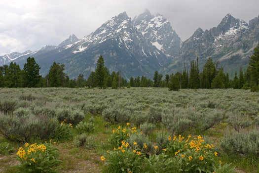 大提頓國家公園 (Grand Teton National Park)