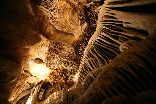 大盆地國家公園 (Great Basin National Park) 
李曼洞穴 (Lehman Caves)