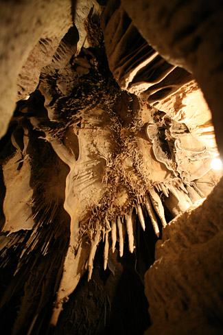 大盆地國家公園 (Great Basin National Park) 
李曼洞穴 (Lehman Caves)