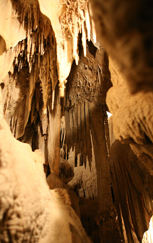 Graet Basin National Park 
李曼洞穴 (Lehman Caves)