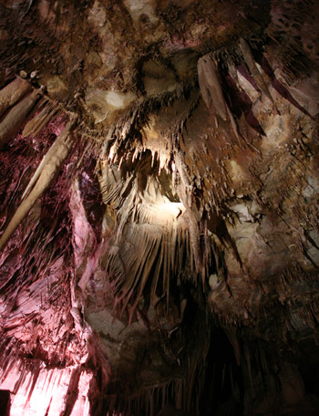 Graet Basin National Park 
李曼洞穴 (Lehman Caves)