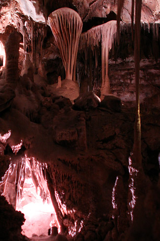 Graet Basin National Park 
李曼洞穴 (Lehman Caves)