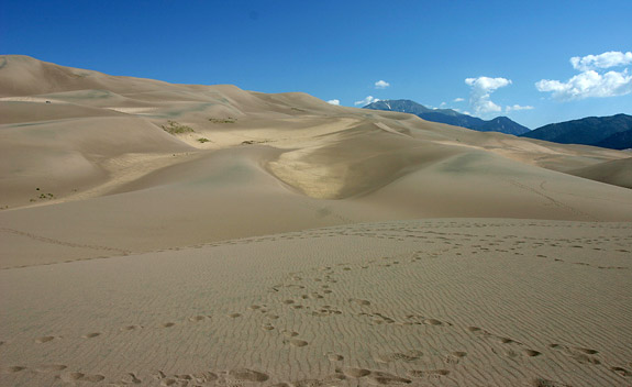 大沙丘國家公園 (Great Sand Dunes National Park)