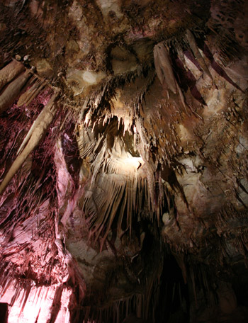 Graet Basin National Park 
李曼洞穴 (Lehman Caves)
