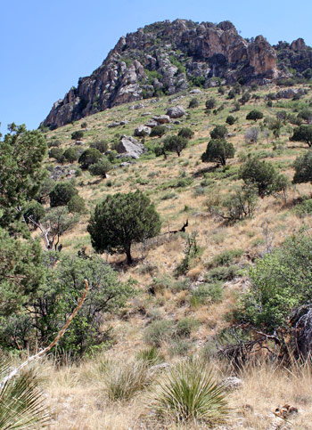 瓜達洛普山國家公園 (Guadalupe Mountains National Park)惡魔大廳