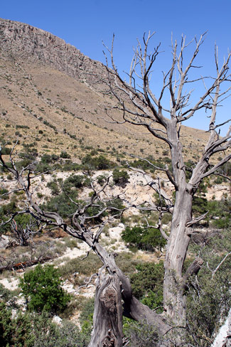 瓜達洛普山國家公園 (Guadalupe Mountains National Park)惡魔大廳