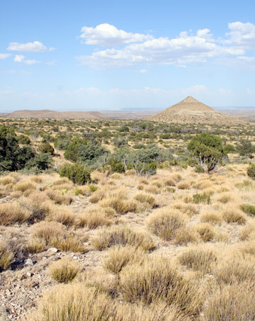 瓜達洛普山國家公園 (Guadalupe Mountains National Park)Smith泉步道