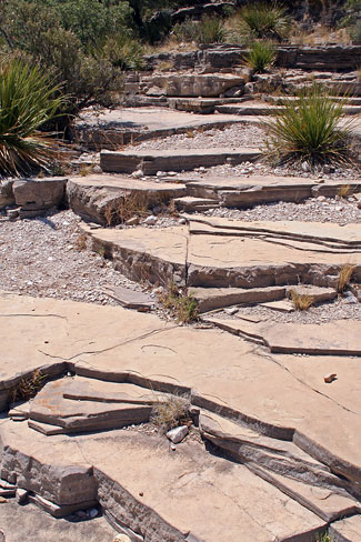 瓜達洛普山國家公園 (Guadalupe Mountains National Park)McKittrick峽谷步道