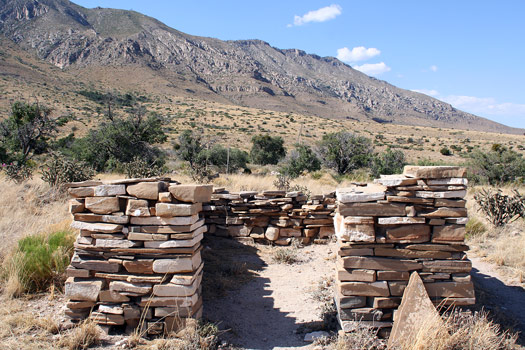 瓜達洛普山國家公園 (Guadalupe Mountains National Park)Pinery步道